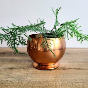 Copper planter/ cover pot.